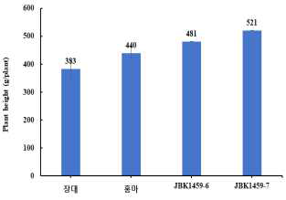 F2 세대 초장 : JBK1459-6, -7