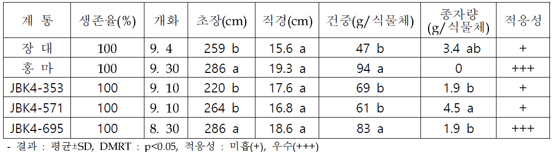 0.2% 간척지 시험구에서 선발 계통 대조구(장대) 대비 생육 우수