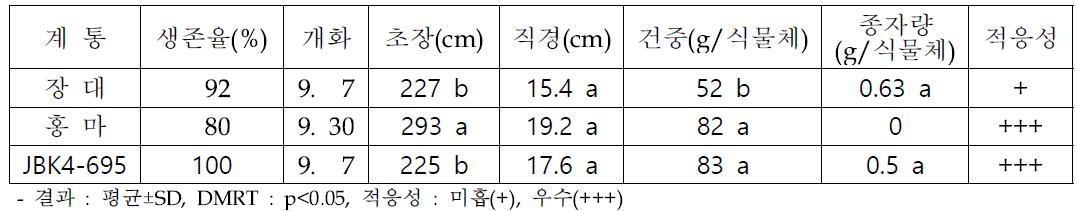 0.3% 간척지 시험구에서 선발 계통 대조구(장대) 대비 생육 우수