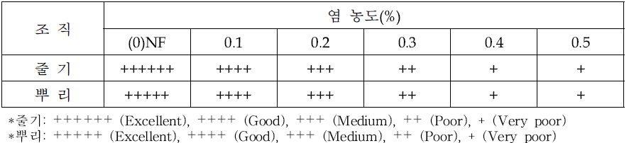 염처리에 따른 줄기 및 뿌리 발육 정도 평가 : 파종 5일 후