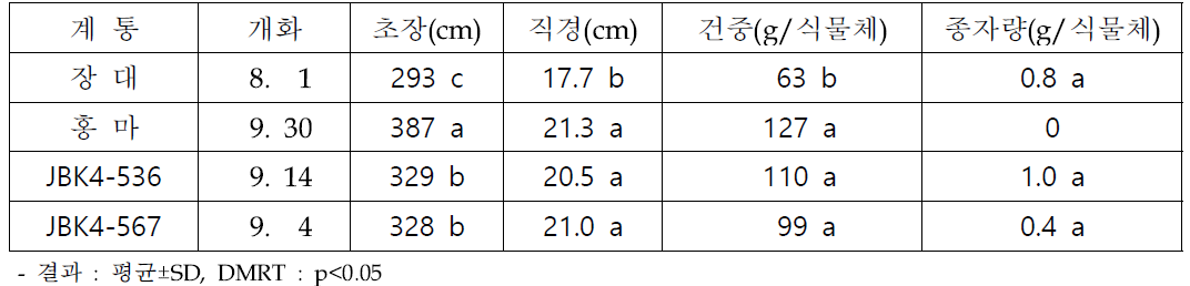 재식거리 20x20cm에서 선발 계통 대조구(장대) 대비 생육 우수