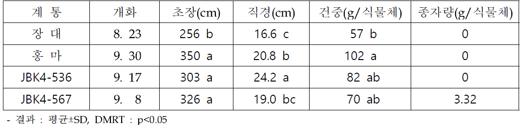 재식거리 20x20cm에서 선발 계통 대조구(장대) 대비 생육 우수