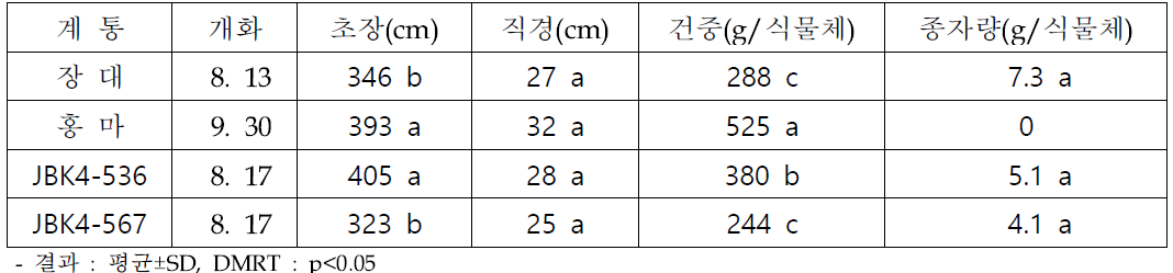 재식거리 100x50cm에서 선발 계통 대조구(장대) 대비 생육 우수