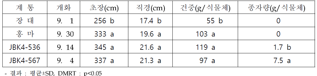 재식거리 20x20cm 선발계통 및 대조구 생육 비교