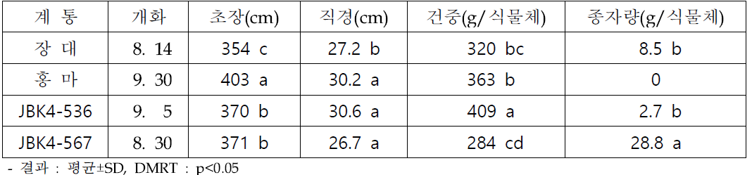 재식거리 100x50cm 선발계통 및 대조구 생육 비교