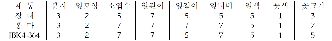 장대, 홍마, 선발계통 생육 특성 비교