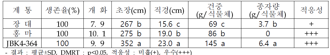 염 없는 간척지 포장에서 선발 계통 대조구(장대) 대비 생육 우수