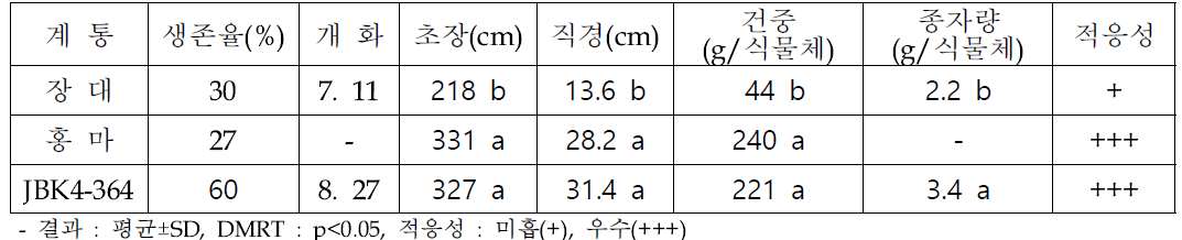 0.2% 염처리 시험구에서 선발 계통 대조구(장대) 대비 생육 우수