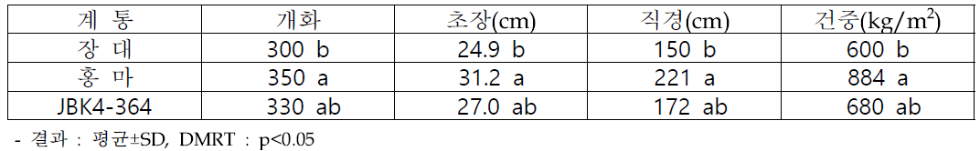 재식거리 50x50cm에서 선발 계통 대조구(장대) 대비 생육 유사