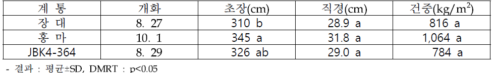 재식거리 50x50cm에서 선발 계통 대조구(장대) 대비 생육 유사