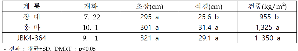 재식거리 100x20cm에서 선발 계통 대조구(장대) 대비 생육 유사