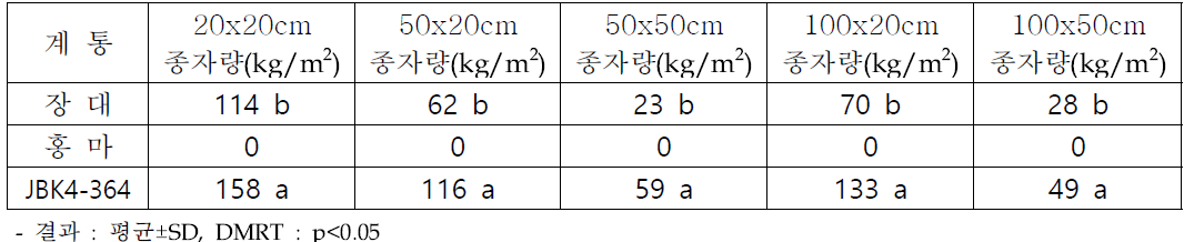 선발계통 최대 종자 생산 재배 기술 설정 : 4월 하순(4. 28) 파종 결과