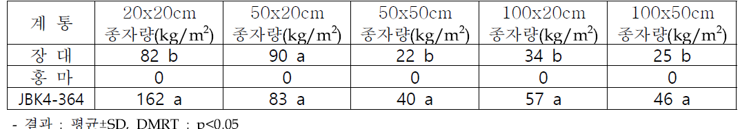 선발계통 최대 종자 생산 재배 기술 설정 : 5월 상순(5. 7) 파종 결과