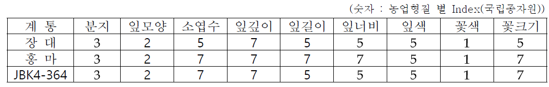 선발계통 대조구(장대)와 농업형질 비교