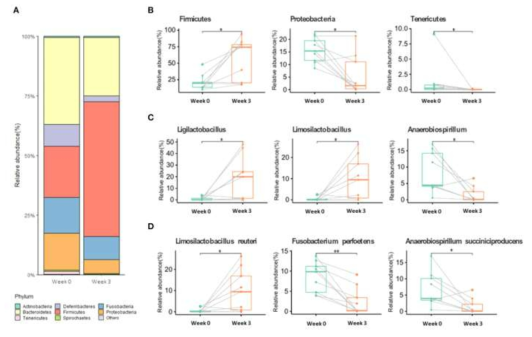 신바이오틱스(Lactobacillus 3종, FOS, GOS 혼합물) 급여 전후 장내 미생물 taxonomy 분석 결과