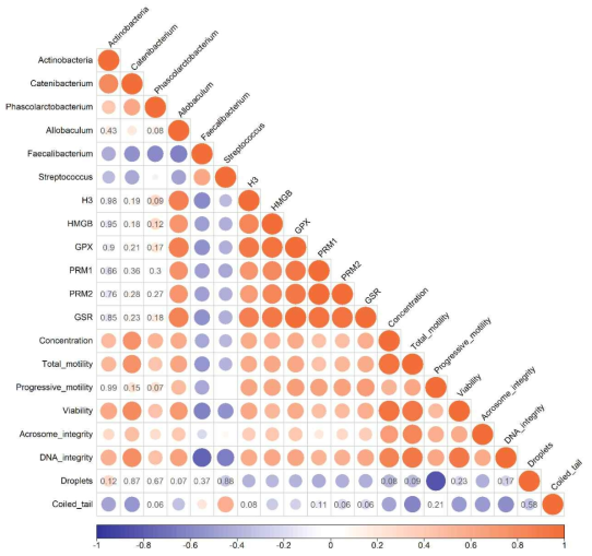 상대적인 세균성 문(phyla), 속(genra), 그리고 정자의 정성적 및 정량적 매개변수 사이의 Pearson 상관관계 분석. 계수는 보라색(음의 상관관계)에서 주황색(양의 상관관계)으로 표시되며 색상 강도와 원 크기는 상관 수준에 비례함