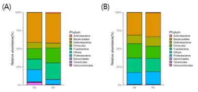 신바이오틱스 급여 전후 Young(A), Aged(B) 그룹에서 미생물 군집의 변화를 taxanomy abundance로 phylum level에서 분석한 결과