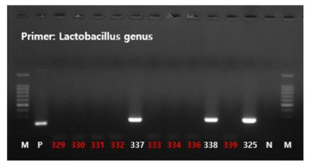 Genus-specific primer를 통한 genus 동정 결과