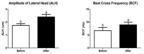 반려견에서 분리한 프로바이오틱스를 반려견에게 4주 간 급여 후 유의미하게 개선된 sperm kinetic parameters 중 ALH, BCF