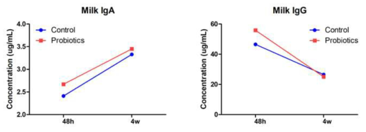 대조군과 유산균 급여군에서 분만 후 48시간 후와 4주 후 모유 면역글로불린(IgA, IgG)의 변화