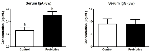 대조군과 유산균 급여군의 8주령 자견에서 혈청 면역글로불린의 변화