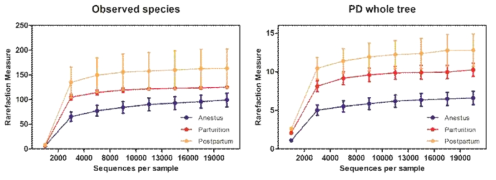 모견에서 무발정기(anestrus), 분만 후 48시간 이내(parturition), 그리고 분만 후 4주째(post-partum)의 시기에 장내 미생물의 다양성을 alpha diversity로 분석한 결과