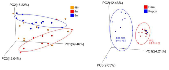 자견에서 시기에 따른 미생물 다양성을 beta diversity로 분석한 결과