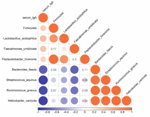자견에서 혈청 IgA의 농도와 주요 미생물 phyla, genera와의 Pearson 상관 관계 분석 결과