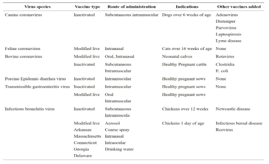 동물에서 허가받은 코로나바이러스 백신의 종류, 투여 경로, 투여 시기 등 요약