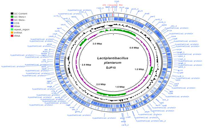 Analysis of functional genes of the DJF10