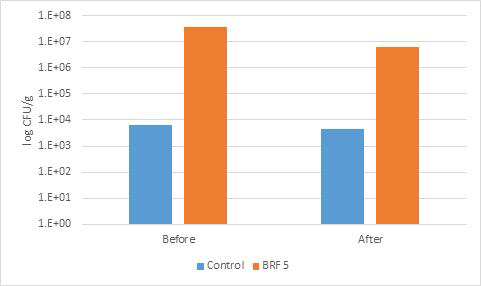 Lactic acid bacterial counts of the cottage cheese with BRF5 before and after freezing