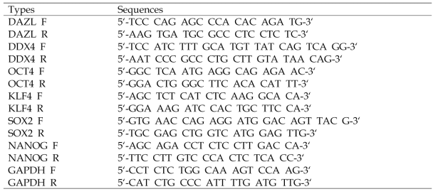 원시생식세포 특성분석 RT-PCR 프라이머 정보