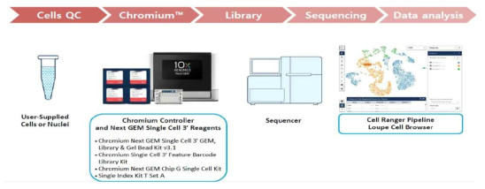단일세포 기반 대용량 유전자 분석 프로세스