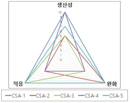 CSA 실천수단 평가의 개념도