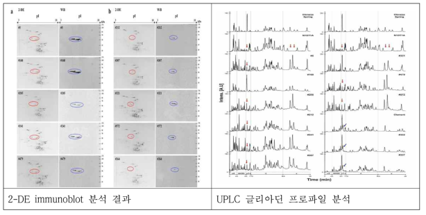 신규 육종 소재의 면역반응 결과와 UPLC를 이용한 글리아딘 프로파일 분석