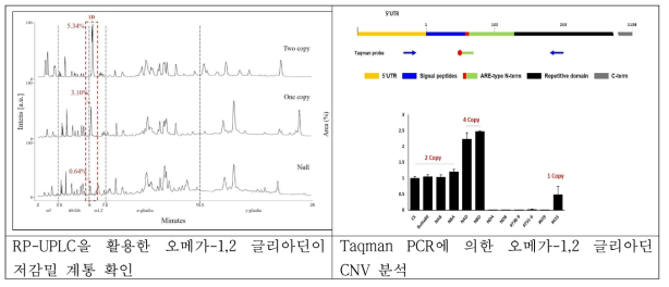 RP-UPLC와 Taqman PCR을 활용한 오메가-1,2 글리아딘 저감밀 분석