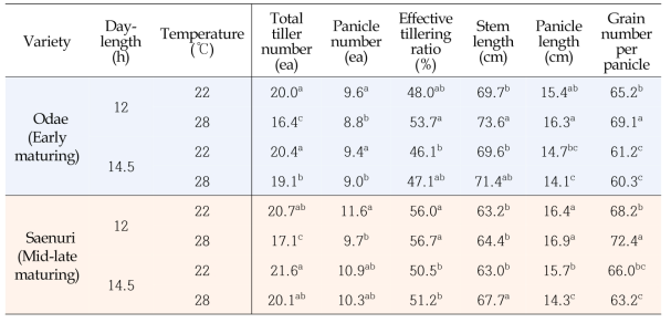 감광반응기(PSP)기간 일장, 온도처리에 따른 생육 변이
