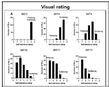 유관 검사(visual scoring)를 통 한 salt tolerance rating 조사