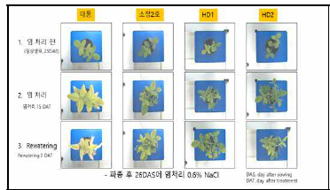 대풍, 소청2호의 염처리 영상