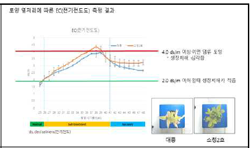 대풍과 소청2호 화분의 토양내 염농도 측정