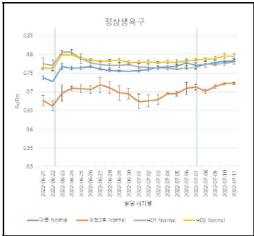 정상생육구에서 대풍, 소청2호의 광합성량 측정 결과