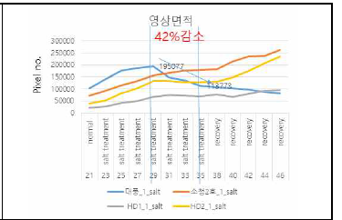 대풍, 소청2호 부모본 면적 특성 조사