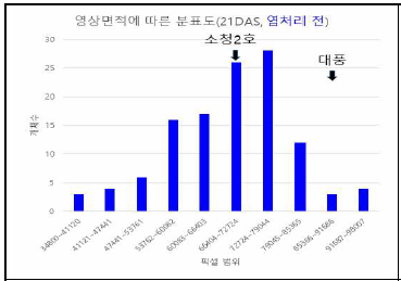 염처리 전 영상면적의 분포도