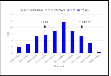 염처리 후 영상면적의 분포도