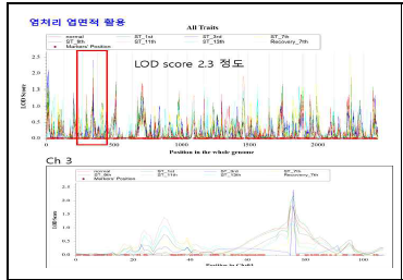 영상면적을 이용한 내염성 QTL조사