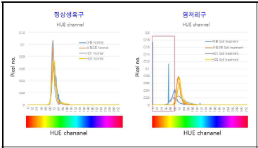 염처리 전후 색상(HUE channel)의 히스토그램 조사