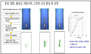 단자엽작물인 벼의 토양, 화분,물공급 등 생육환경 설정