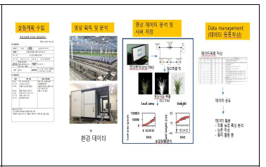 단자엽작물의 데이터 수집과정