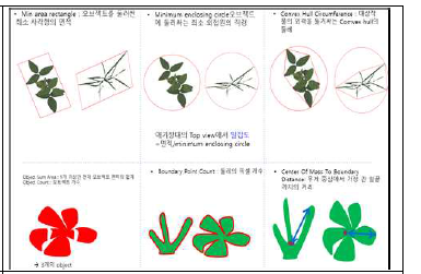 단자엽 작물에 적용 가능한 기타 영상지표