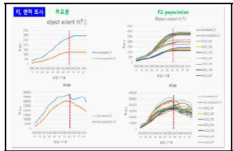 참깨 생장 시 object extent Y와 area를 통한 농업형질 특성 조사